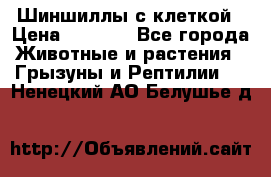 Шиншиллы с клеткой › Цена ­ 8 000 - Все города Животные и растения » Грызуны и Рептилии   . Ненецкий АО,Белушье д.